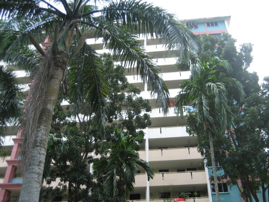 Blk 218 Ang Mo Kio Avenue 1 (Ang Mo Kio), HDB 3 Rooms #54522
